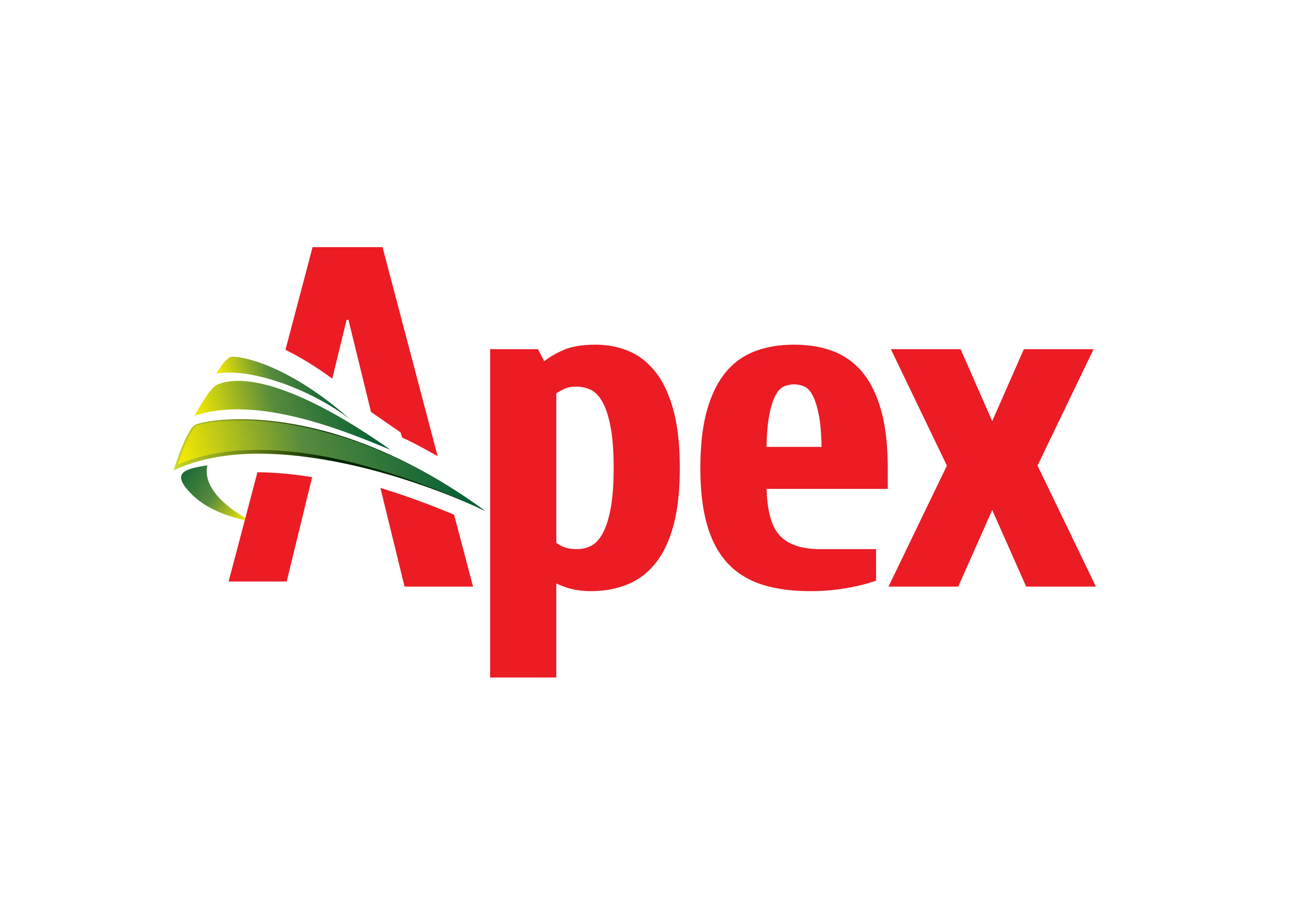 Apex Footwear Ltd.